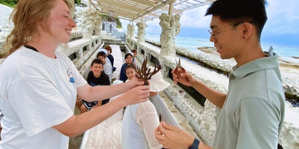 japan-sea-turtle-conservation-volunteering-in-okinawa-48