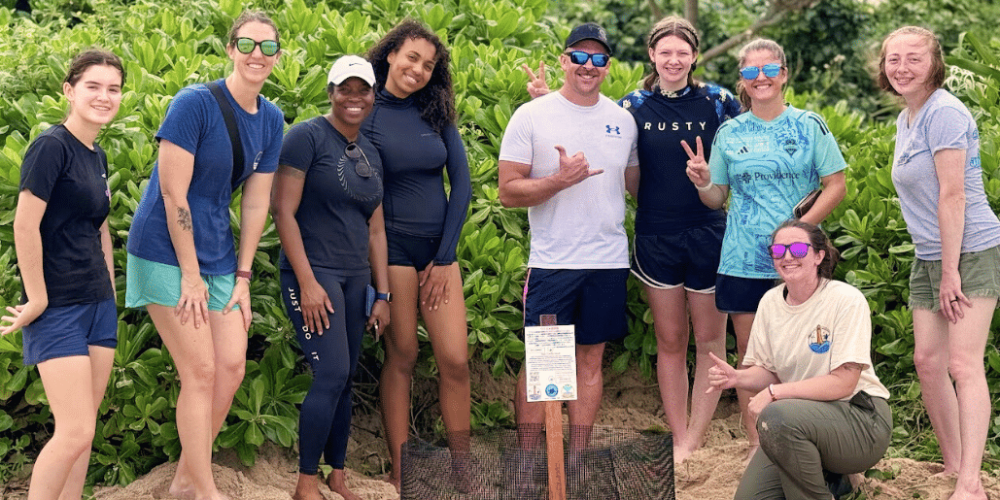 japan-sea-turtle-conservation-volunteering-in-okinawa-5