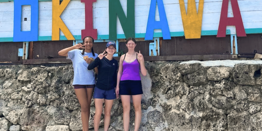 japan-sea-turtle-conservation-volunteering-in-okinawa-51