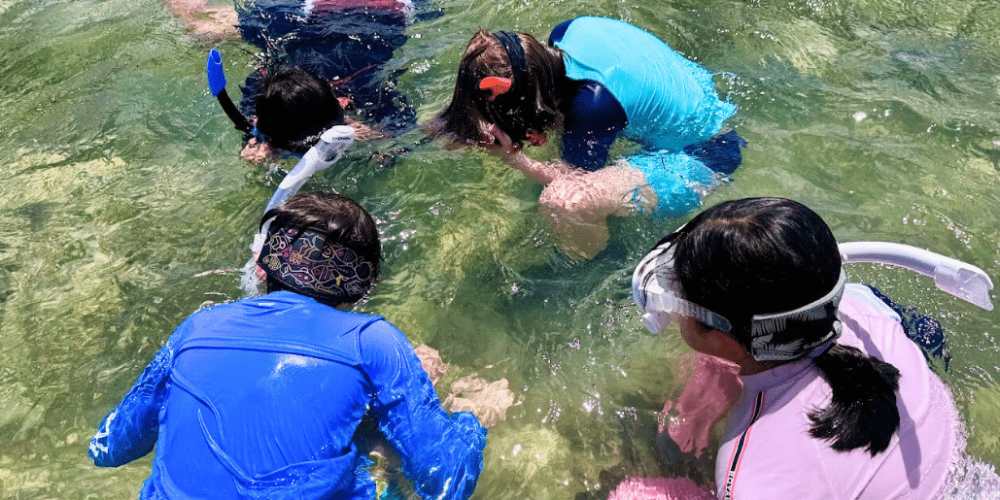 japan-sea-turtle-conservation-volunteering-in-okinawa-53