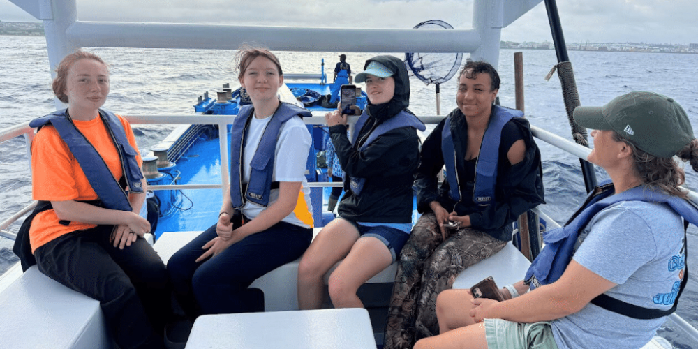 japan-sea-turtle-conservation-volunteering-in-okinawa-8