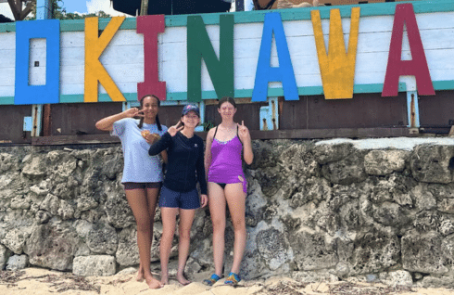 japan-sea-turtle-conservation-volunteering-in-okinawa-main-4