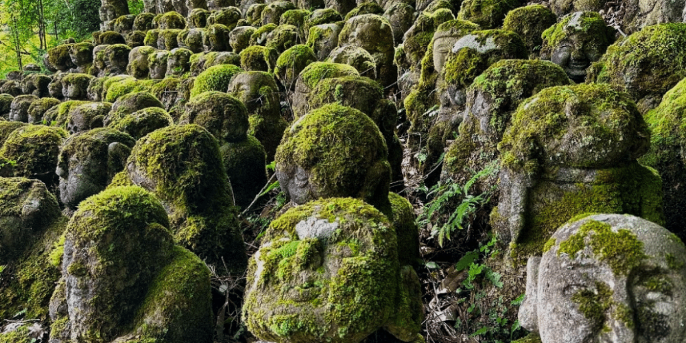 japan-working-holiday-support-program-10