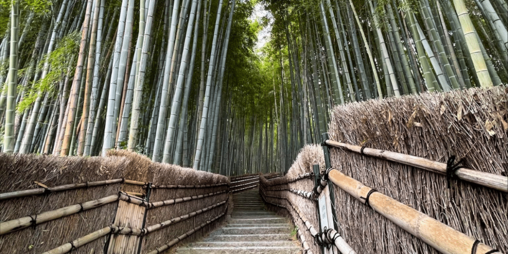 japan-working-holiday-support-program-12