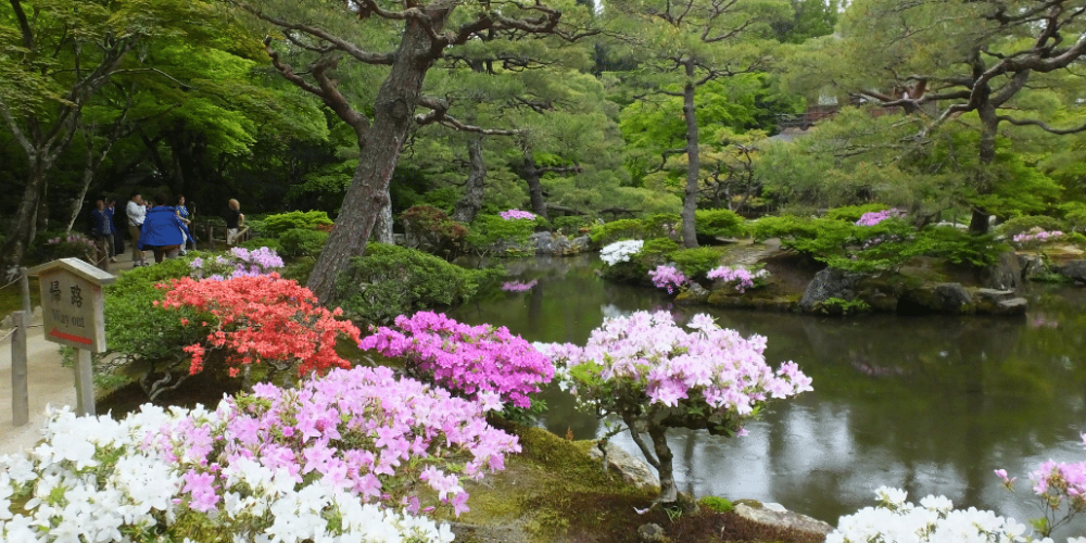 japan-working-holiday-support-program-14