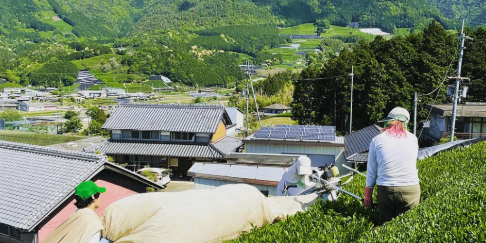 japan-working-holiday-support-program-46