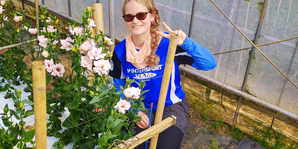 japan-working-holiday-support-program-50