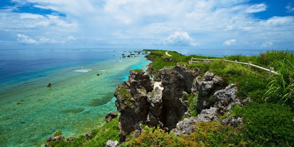 japan-working-holiday-support-program-51