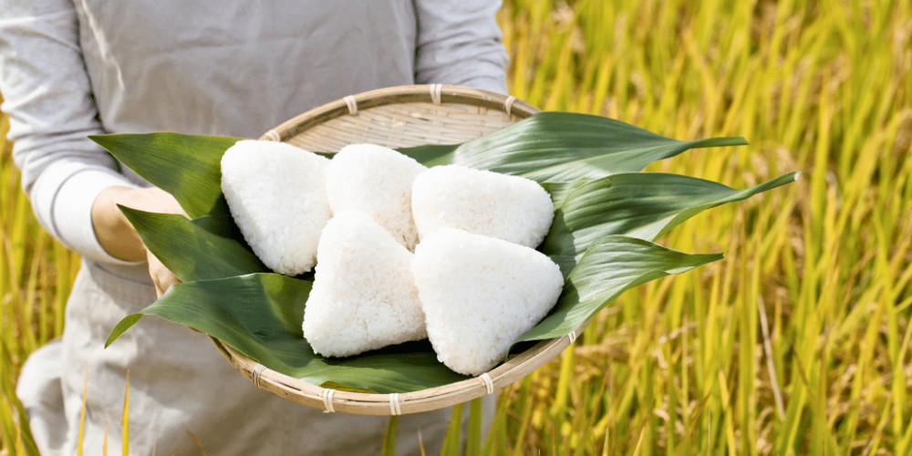 japan-working-holiday-support-program-52