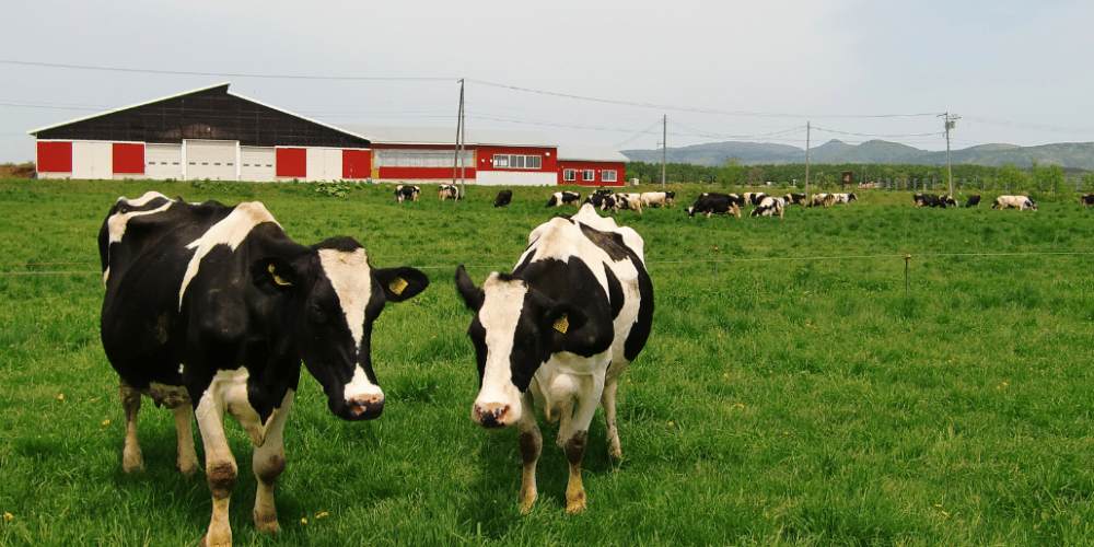 japan-working-holiday-support-program-57