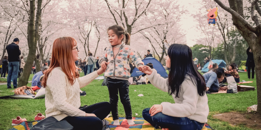 japan-working-holiday-support-program-58