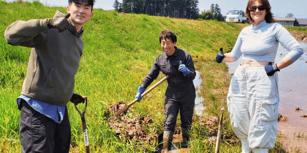 japan-working-holiday-support-program-68