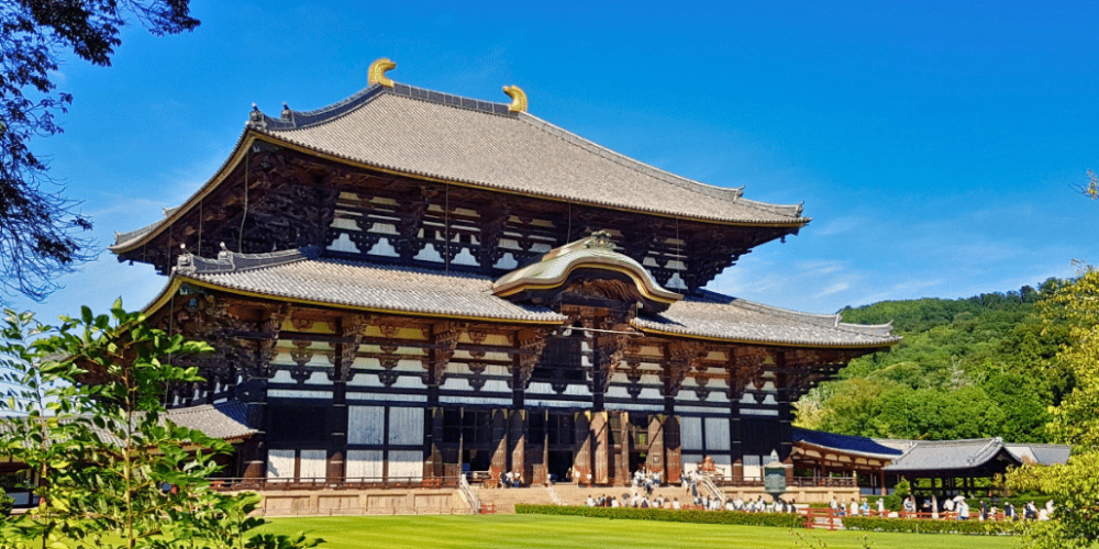 japan-working-holiday-support-program-8