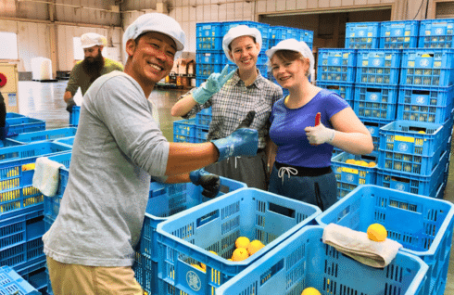 japan-working-holiday-support-program-main-2
