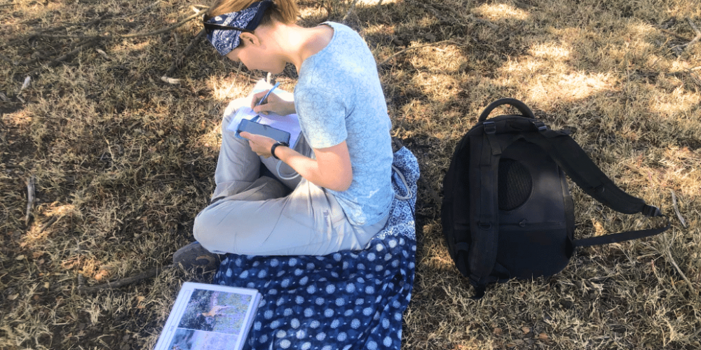 kenya-wildlife-conservation-giraffe-monitoring-18