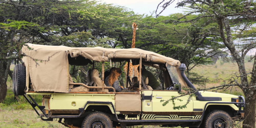 kenya-wildlife-conservation-giraffe-monitoring-21