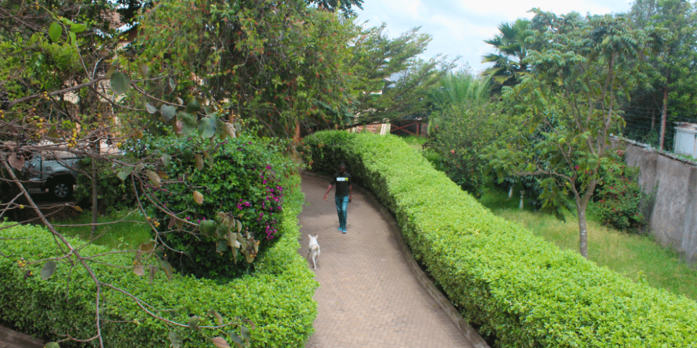 kenya–climate-change-&-wildlife-for-teenagers-19