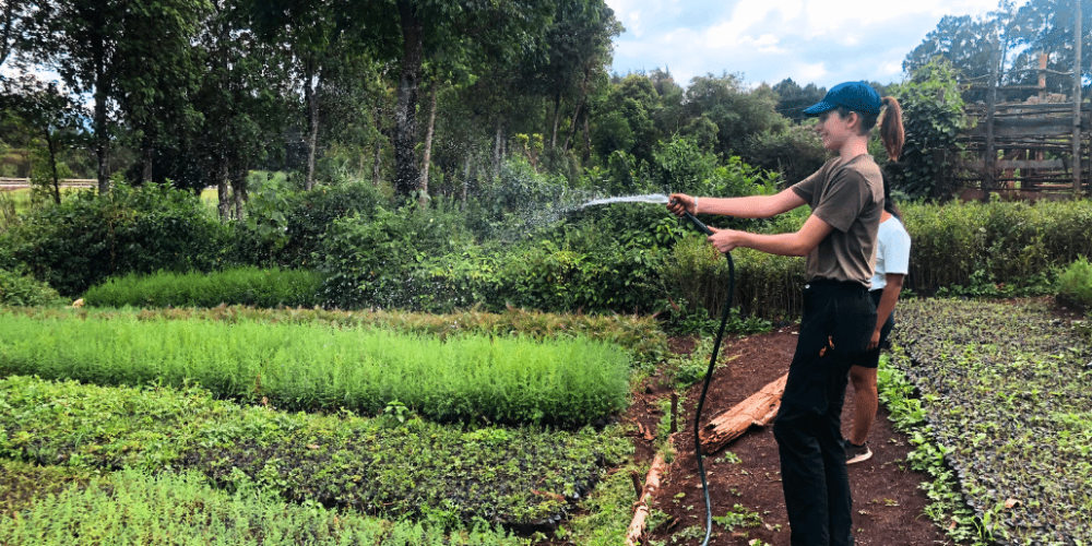 kenya–climate-change-&-wildlife-for-teenagers-7