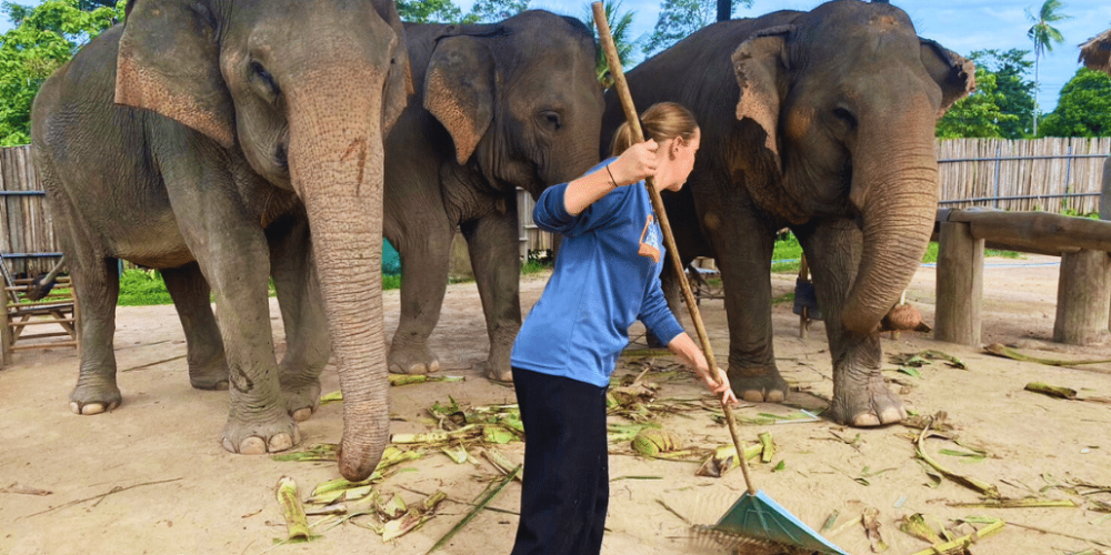koh-samui-elephant-care-volunteering-11