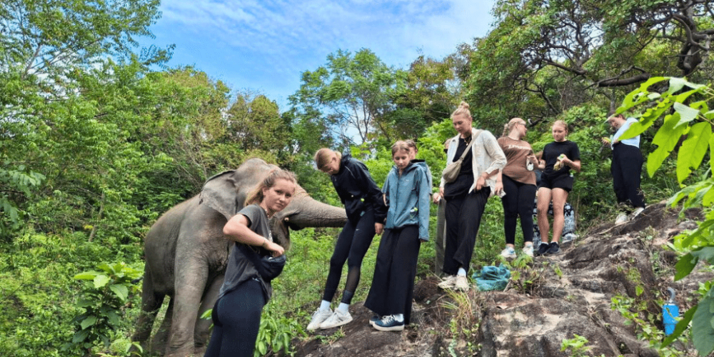 koh-samui-elephant-care-volunteering-12