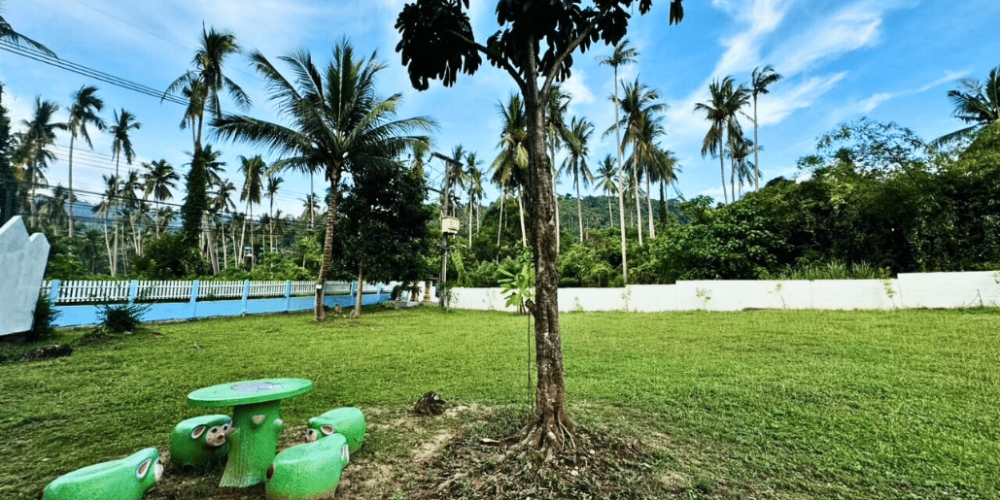 koh-samui-elephant-care-volunteering-32