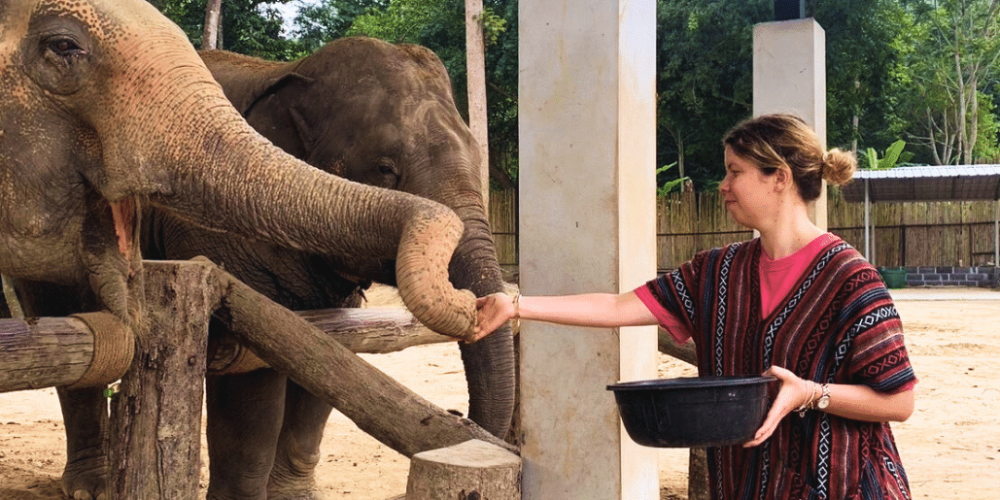 koh-samui-elephant-care-volunteering-46