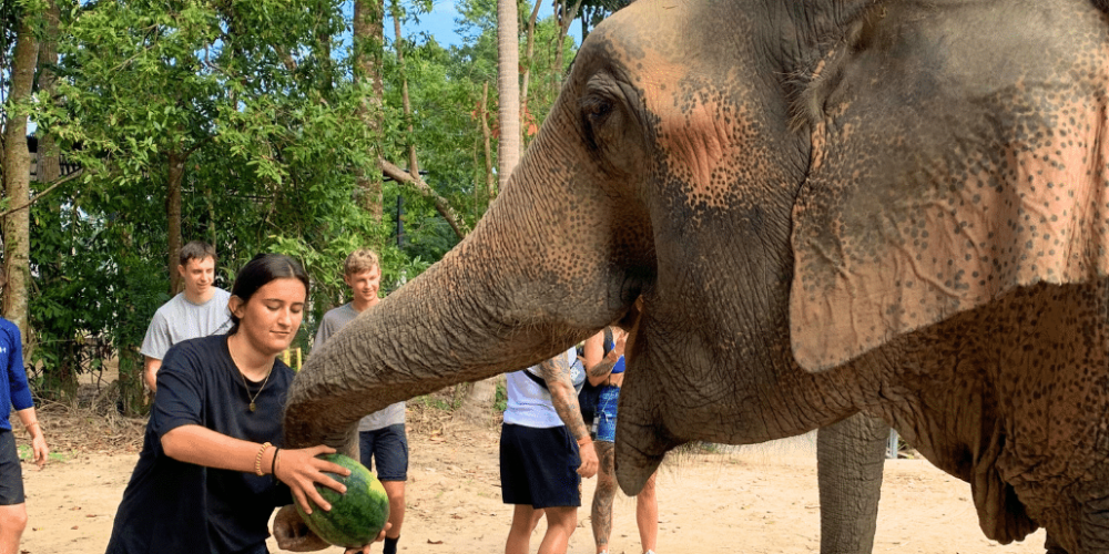 koh-samui-elephant-care-volunteering-47