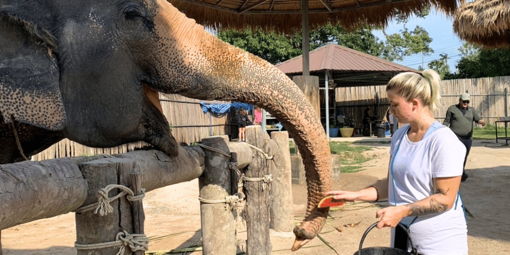 koh-samui-elephant-care-volunteering-6