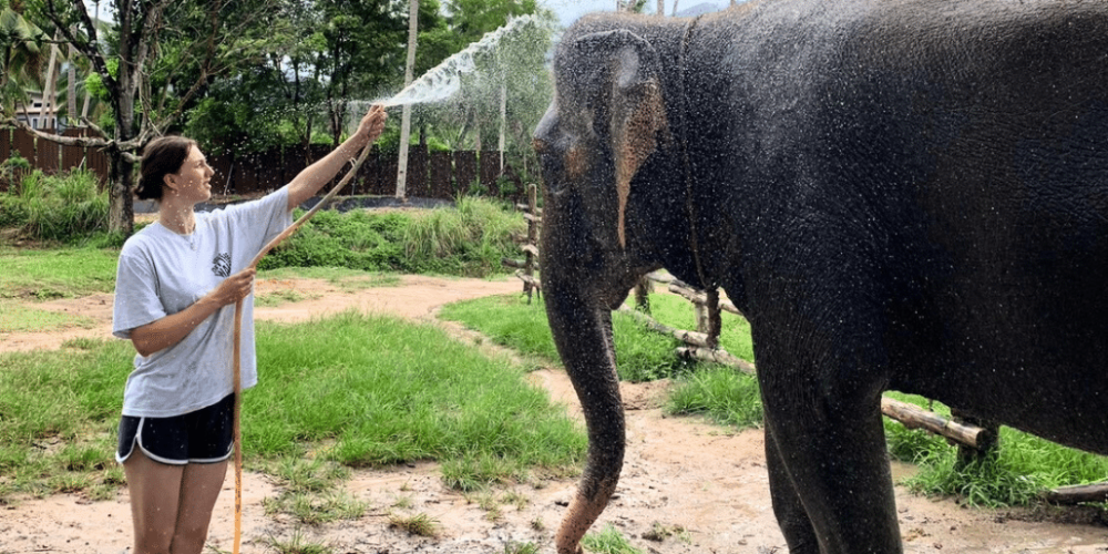 koh-samui-elephant-care-volunteering-9