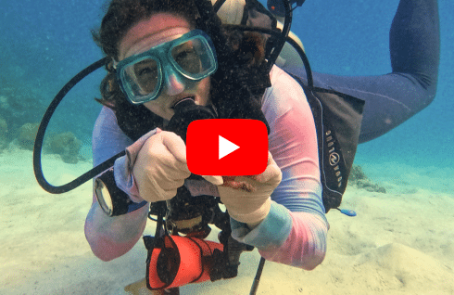 maldives-coral-gardening-reef-conservation-volunteering-main-video