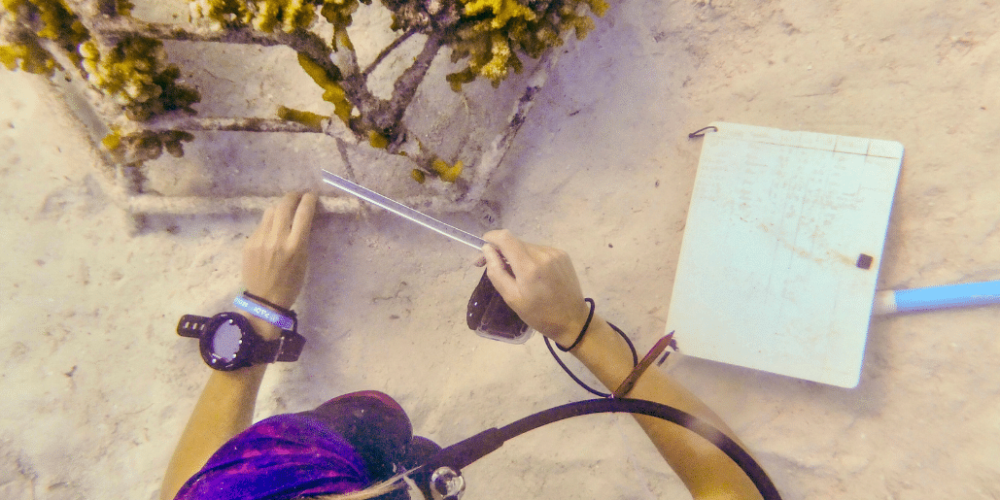 maldives-coral-gardening-reef-conservation-volunteering12