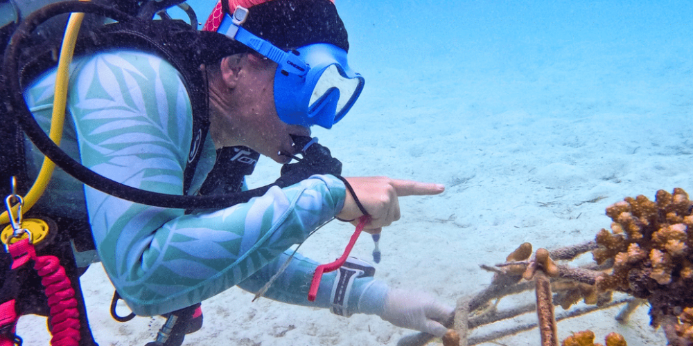 maldives-coral-gardening-reef-conservation-volunteering16