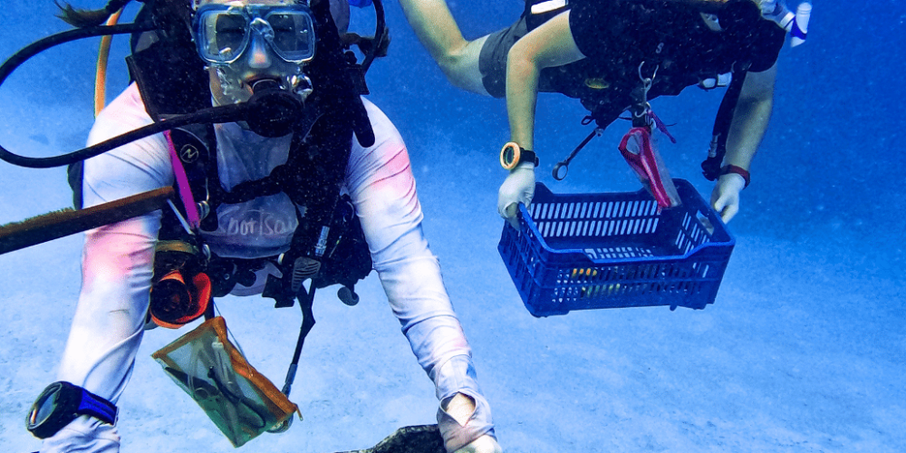 maldives-coral-gardening-reef-conservation-volunteering2