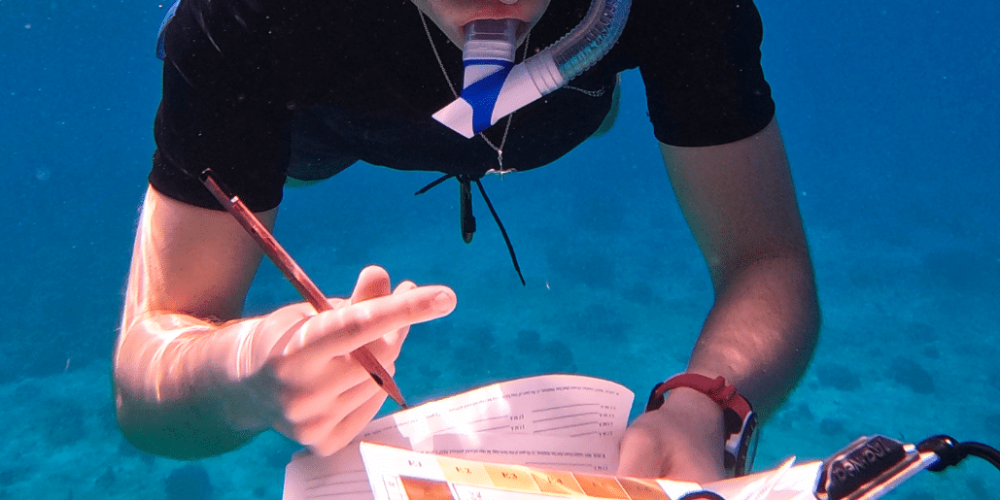 maldives-coral-gardening-reef-conservation-volunteering4