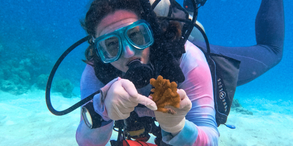 maldives-coral-gardening-reef-conservation-volunteering8