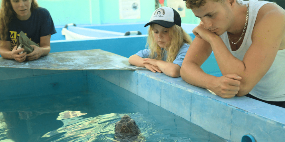 maldives-family-friendly-sea-turtle-conservation-&-eco-tour-14