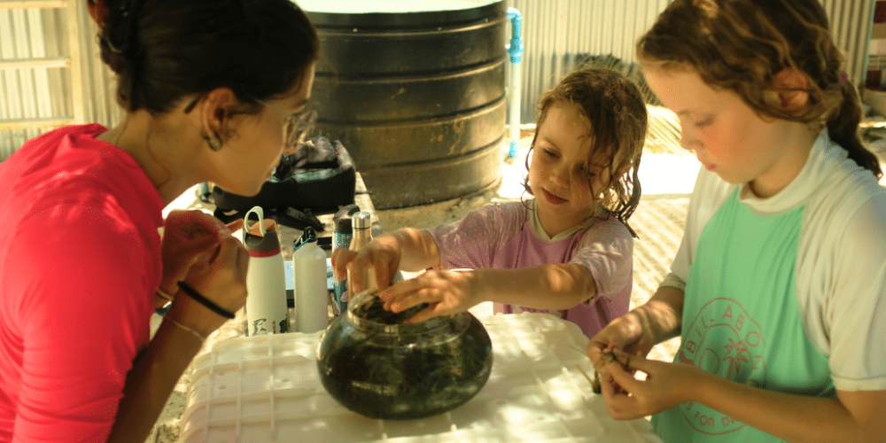 maldives-family-friendly-sea-turtle-conservation-&-eco-tour-18