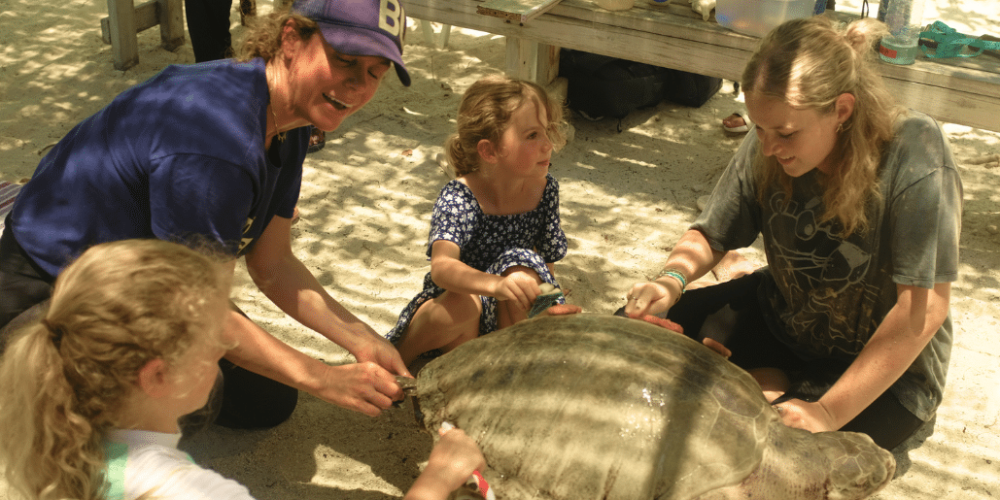 maldives-family-friendly-sea-turtle-conservation-&-eco-tour-2