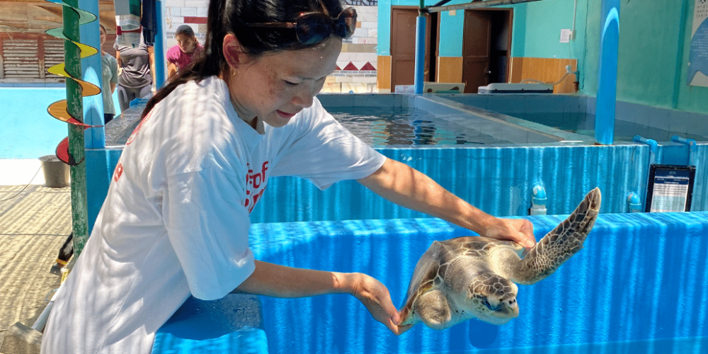 maldives-family-friendly-sea-turtle-conservation-eco-tour-new-7