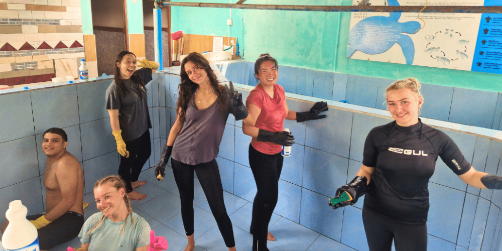 maldives-sea-turtle-&-marine-conservation-for-teenagers-11