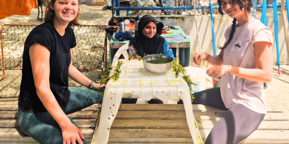 maldives-sea-turtle-&-marine-conservation-for-teenagers-12