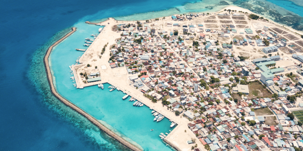 maldives-sea-turtle-&-marine-conservation-for-teenagers-17