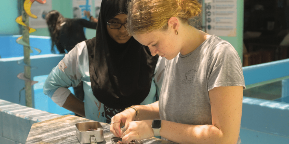 maldives-sea-turtle-&-marine-conservation-for-teenagers-3