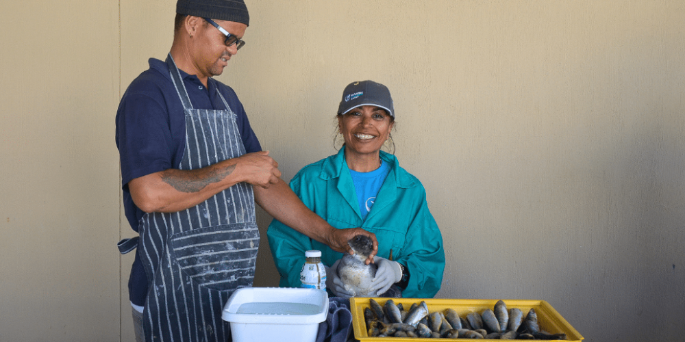 marine-big-5-conservation-upd-2