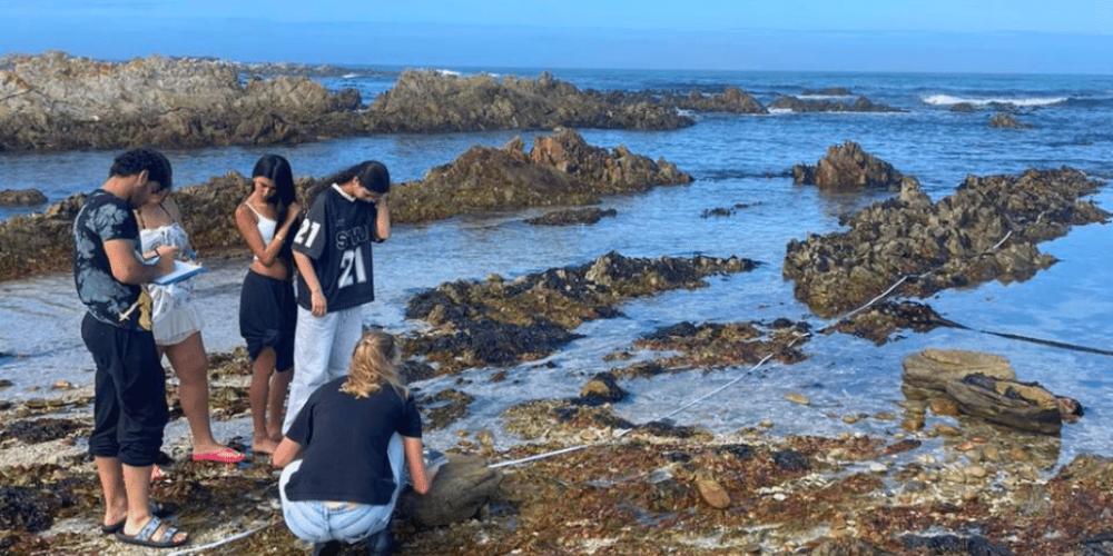 marine-big-5-conservation-upd-8