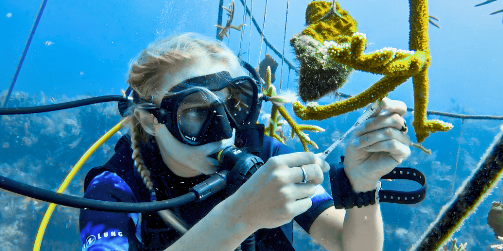 marine-conservation-diving-expedition-for-teenagers-1