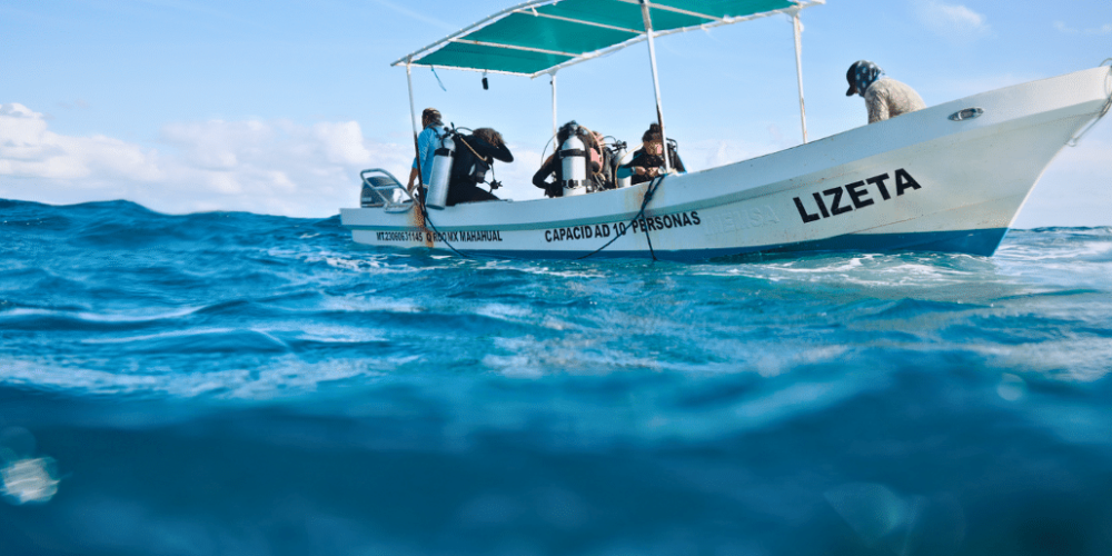 marine-conservation-diving-expedition-for-teenagers-8