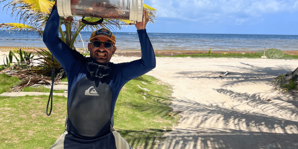 marine-coral-reef-conservation-in-the-caribbean-11