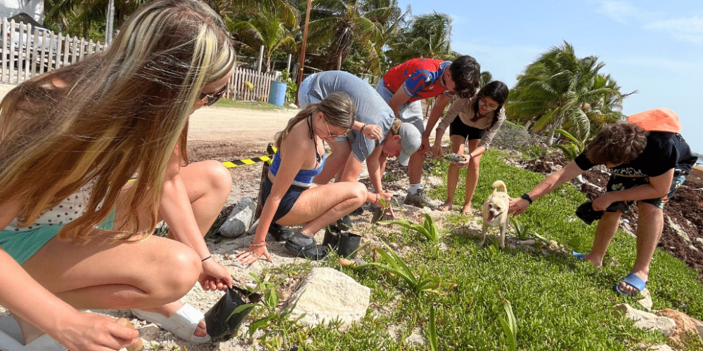 marine-coral-reef-conservation-in-the-caribbean-5