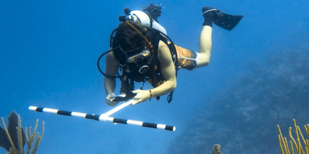 mexico–marine-coral-reef-conservation-in-the-caribbean-7